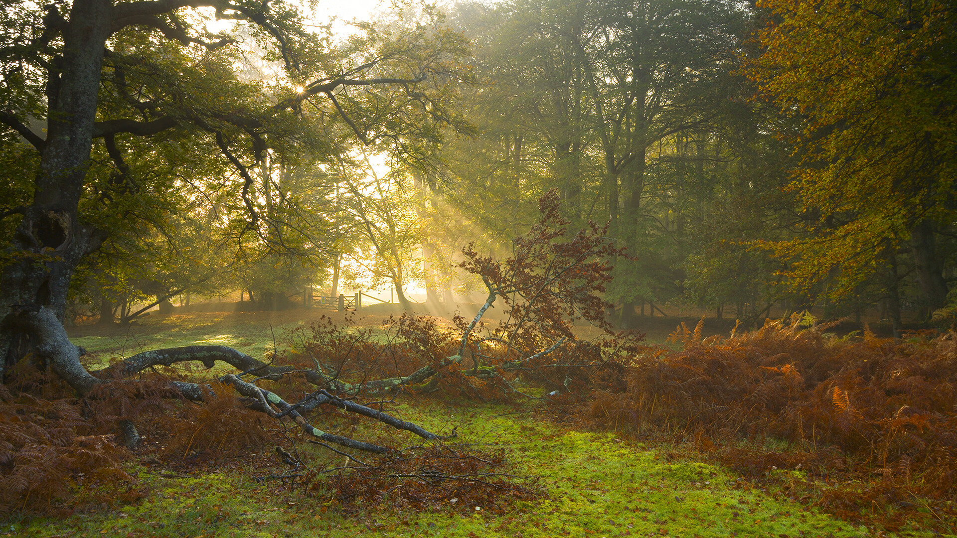 欧战夜AC米兰闪电战击溃苏格兰球队，布鲁诺·费尔南德斯化身关键先生