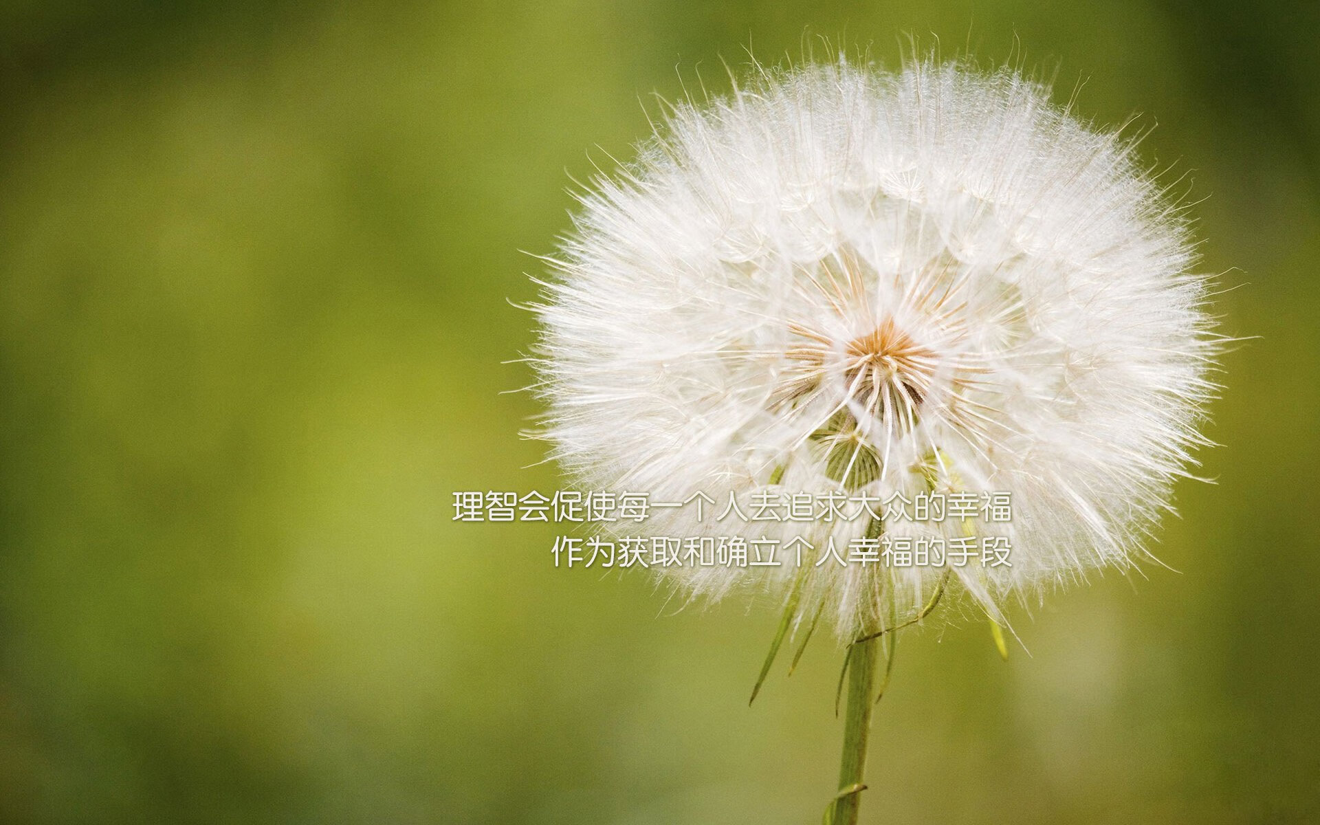 开云体育-致命一击，莫德里奇封神之夜，保加利亚险胜秘鲁捧起世界杯